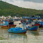 16977974-vietnam-7554864