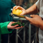 20251124_1704_SMF_KoppertCressOpening_FITCHD_6568