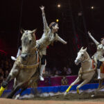 Akhal-Teke: Turkmenistan250118-MAN-CIRQUE SELECTION 2 SAS-52 (1)