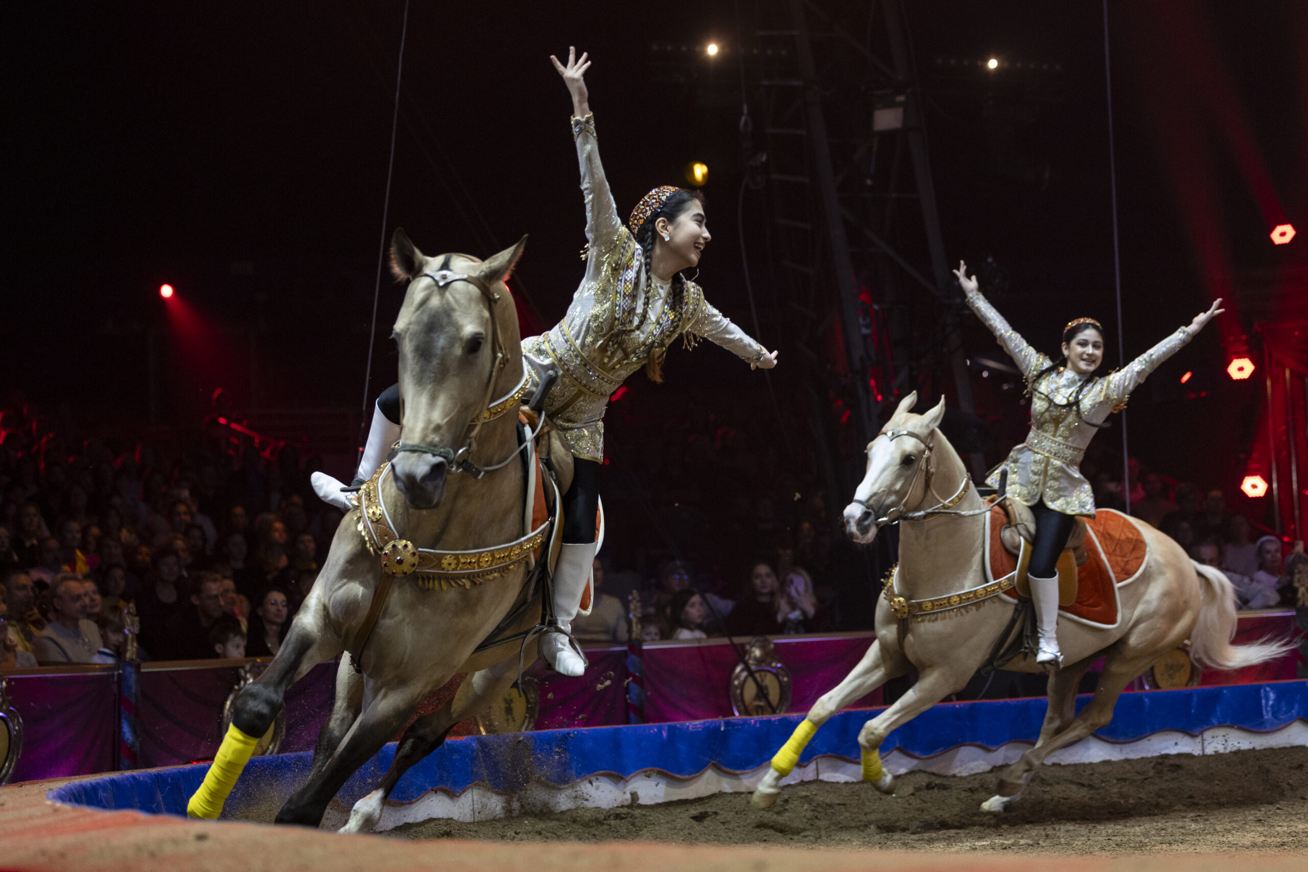 The Akhal-Teke: Turkmenistan’s Living Heritage on Show in the Netherlands
