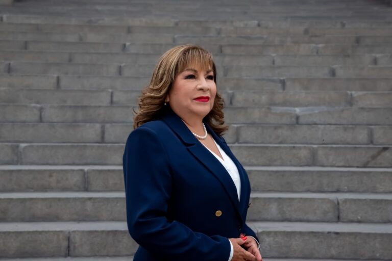 Ten Reasons to Elect Judge Luz Ibanez