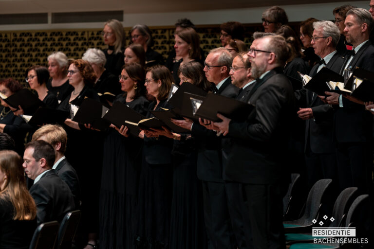 A Powerful Musical Statement Against War on Remembrance Day in The Hague