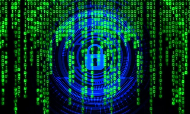 European Operation Dismantles Hacktivist Group Behind DDoS Attacks