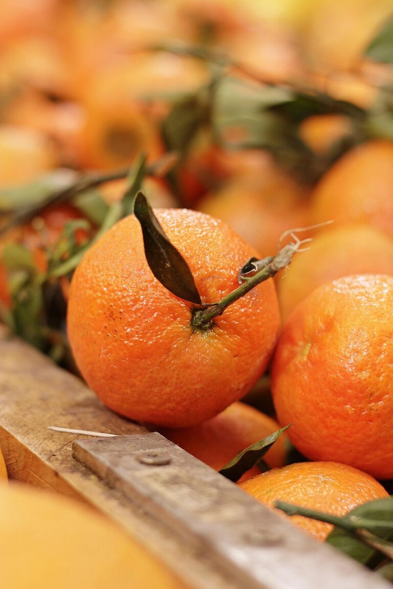 From The Hague To International Tropical Fruits Network-TFNet